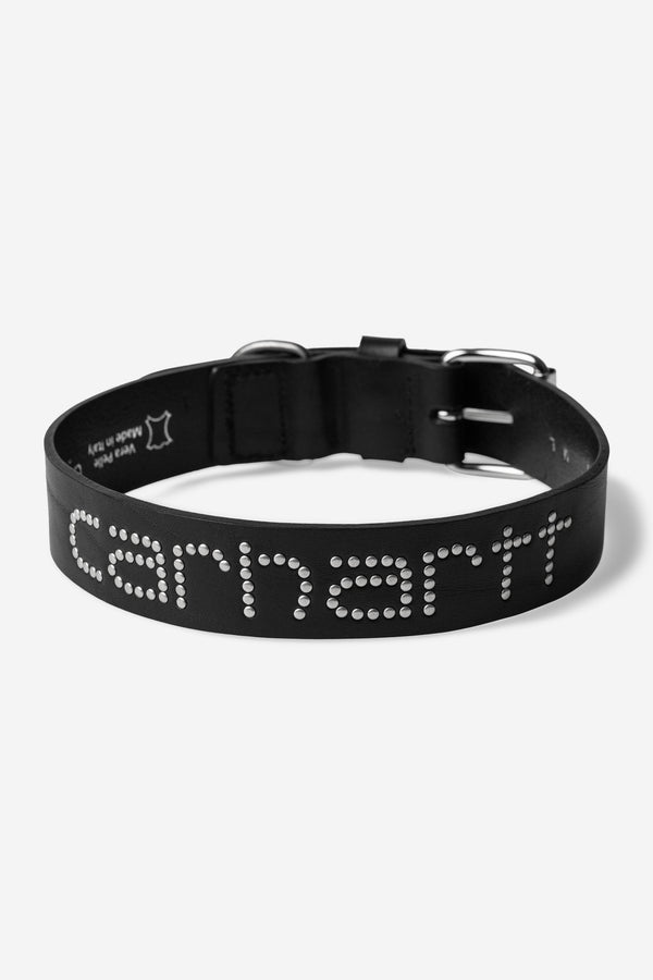 Carhartt Wip SCRIPT STUDS DOG COLLAR M/L Black — Carhartt Wip
