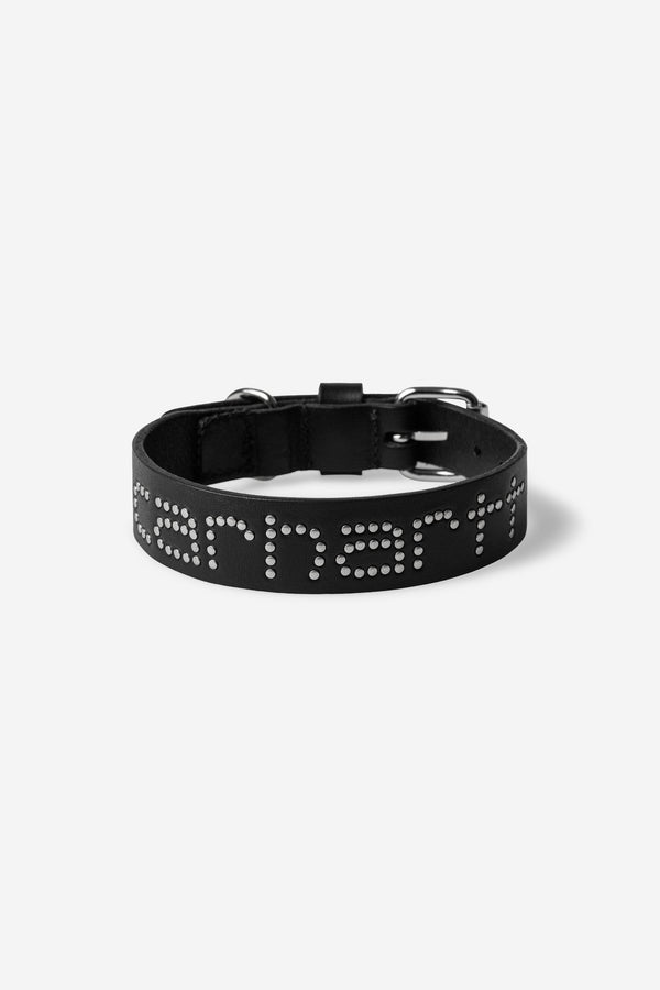 Carhartt Wip SCRIPT STUDS DOG COLLAR S/M Black — Carhartt Wip