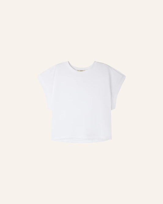 Sessun T-shirt TADAO Optical White