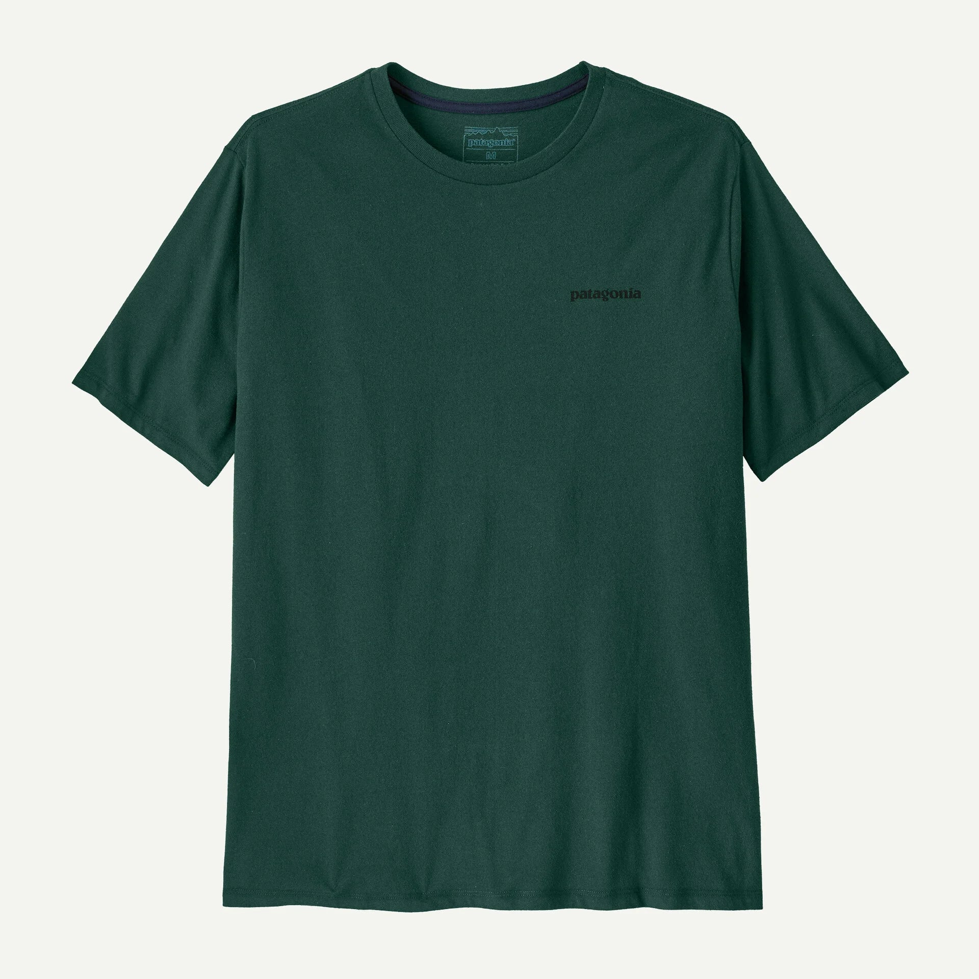 T Shirt Patagonia P6 LOGO RESPONSIBILI S/S TEE Cascade Green
