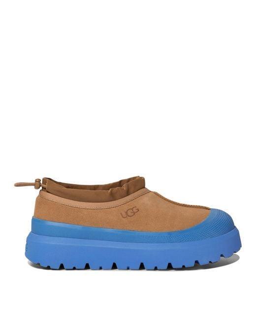 Tasman Weather Hybrid Chestnut Big sky