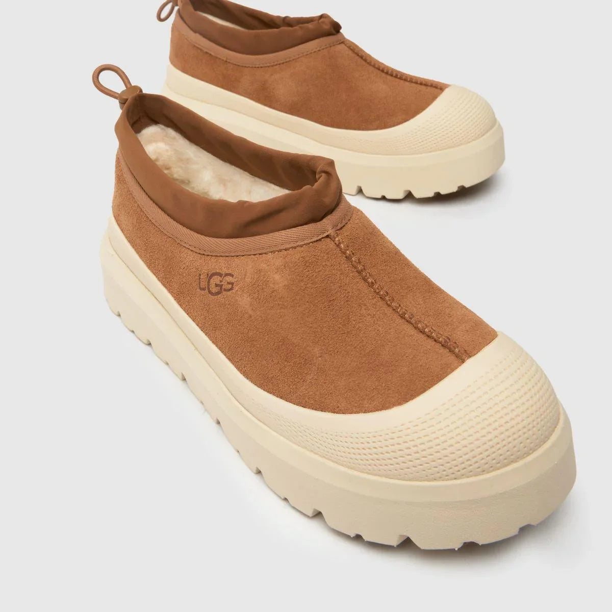 Tasman Weather Hybrid Chestnut Whitecap