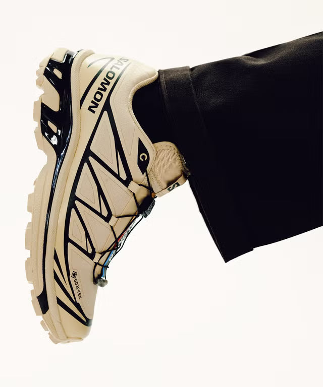 Salomon XT-6 : Sneakers Performance et Style Unique