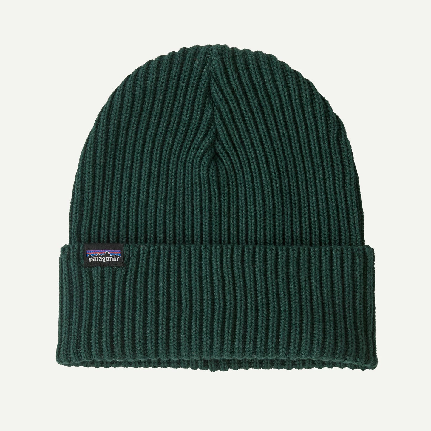 Bonnet Patagonia FISHERMANS ROLLED BEANIE Cascade Green