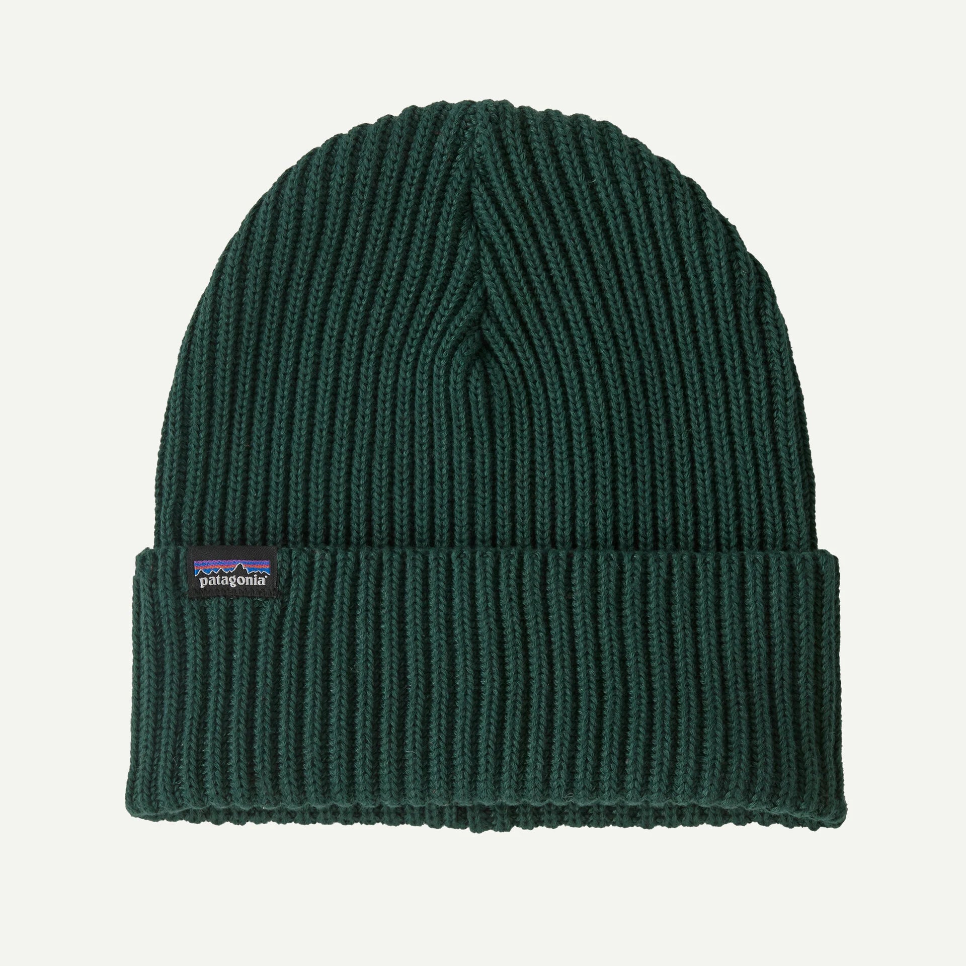 Bonnet Patagonia FISHERMANS ROLLED BEANIE Cascade Green