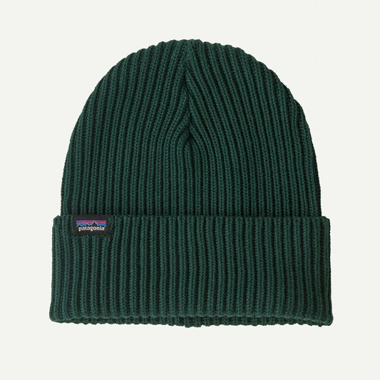 Bonnet Patagonia FISHERMANS ROLLED BEANIE Cascade Green