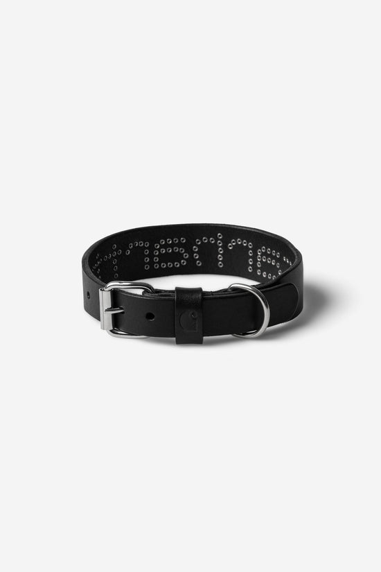 Carhartt Wip SCRIPT STUDS DOG COLLAR S/M Black