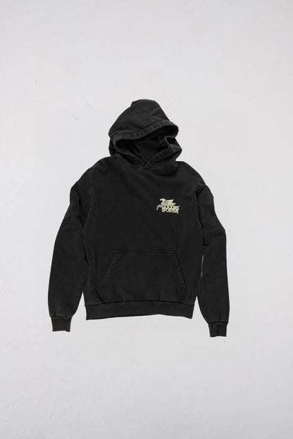 Goodies Sportive VINTAGE PEGASUS HOODIE Black