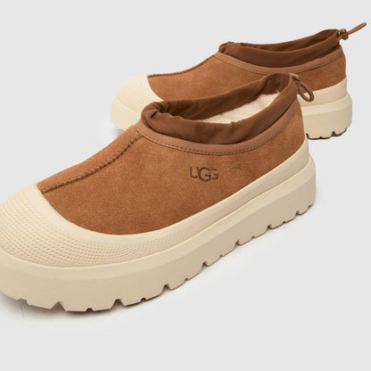 Tasman Weather Hybrid Chestnut Whitecap